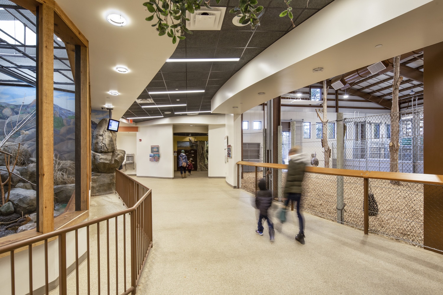 Seneca Park Zoo Cold Asia and Animals of the Savannah Exhibits