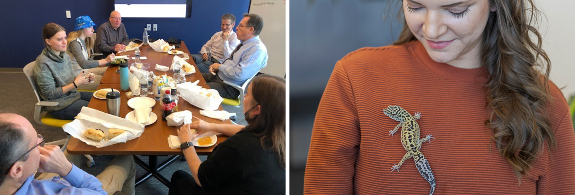 Graphic shows two images side by side. The first image shows a group of people eating lunch together. The image on the right shows a young woman with brunette hair wearing an orange sweater and holding a leopard gecko on the front of her sweater.