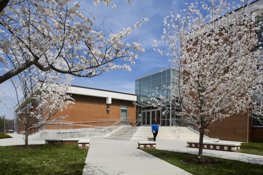 University North Georgia Blue Ridge Campus Expansion Entrance 2 Exterior of a university building entrance, a student walking along sidewalks shrouded by blossoming trees.